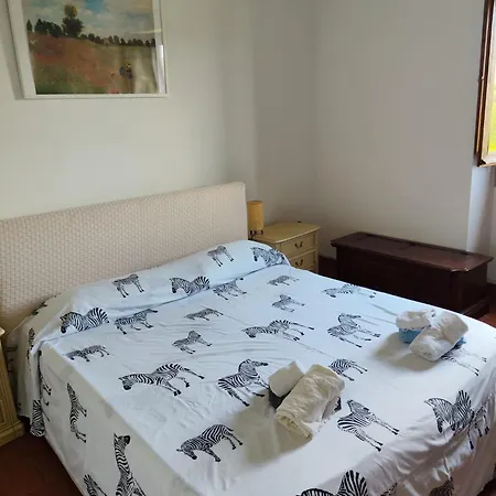 Sospesi Nel Borgo Vitorchiano